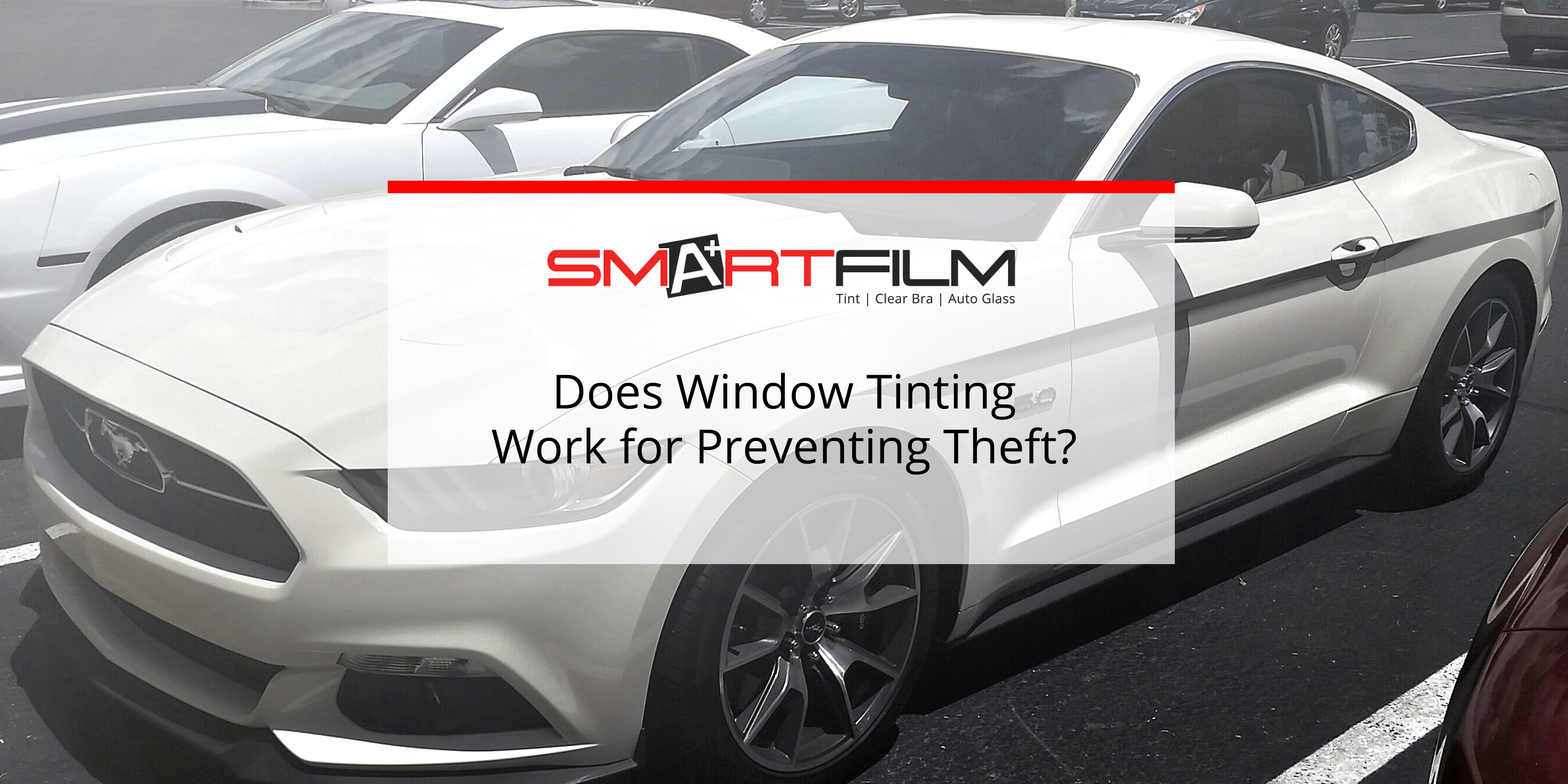 Does Window Tinting Work for Theft?, Blog