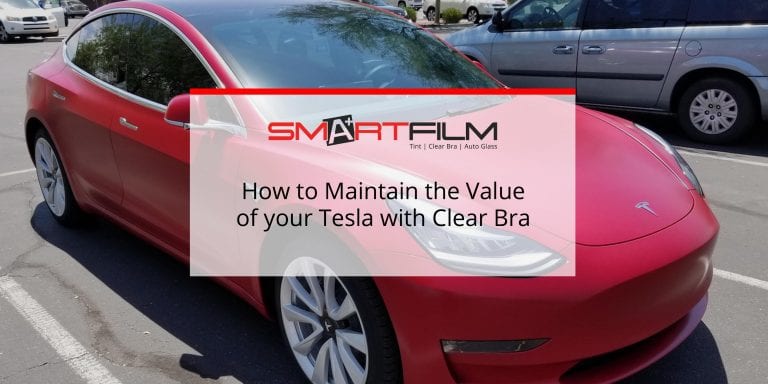 tesla clear bra