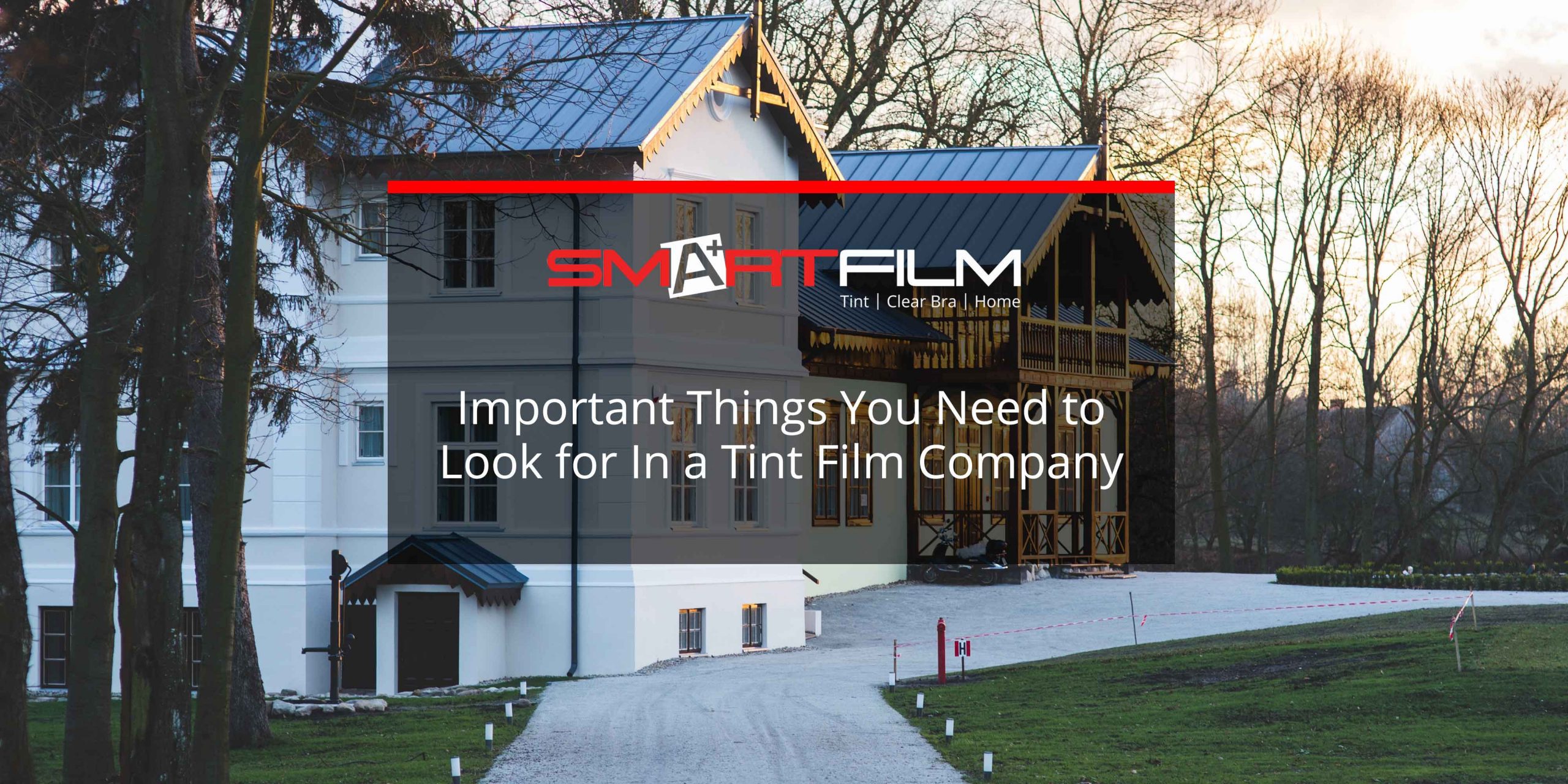 top tint films company