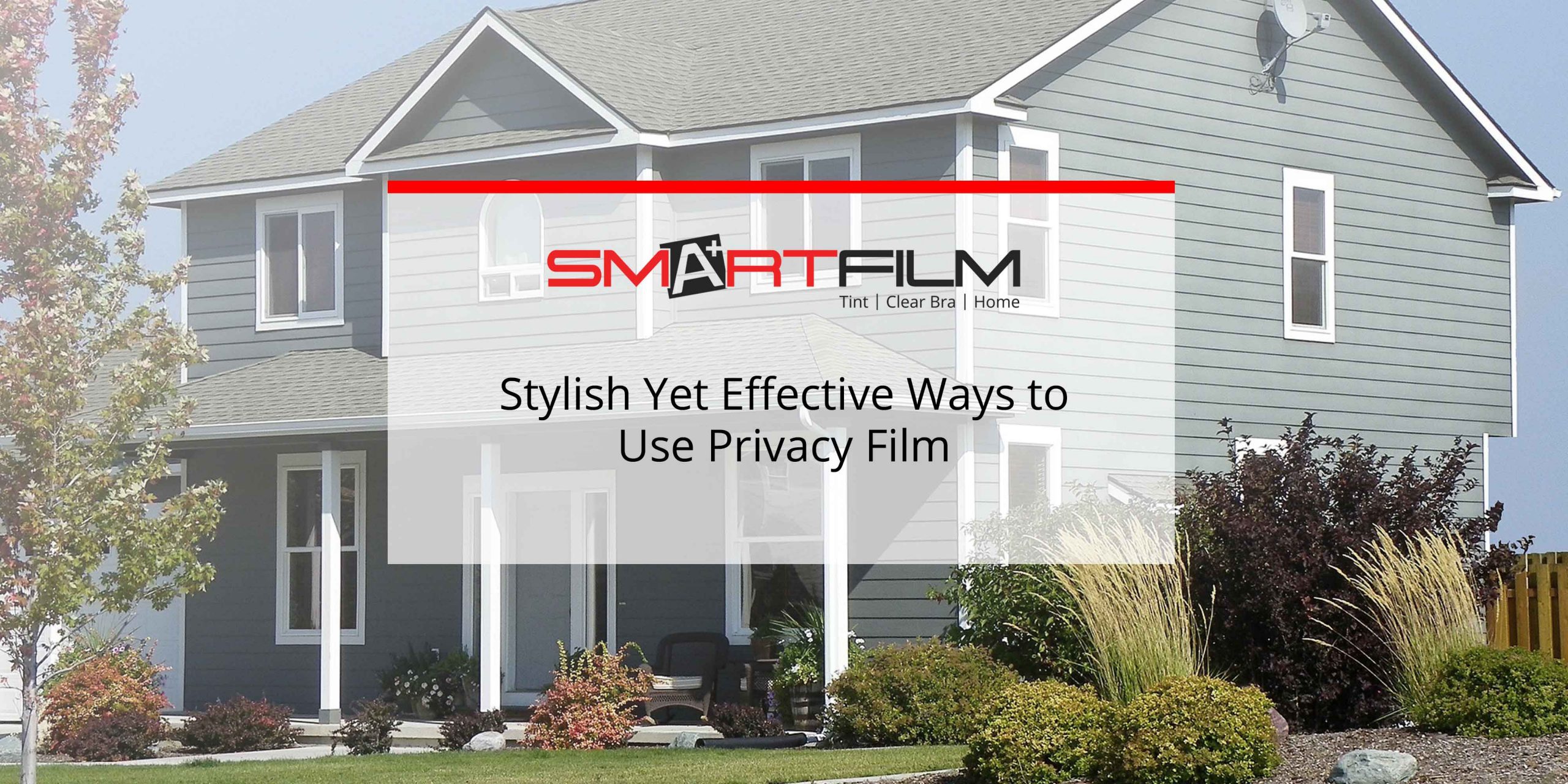 privacy film